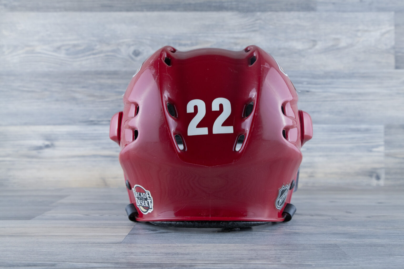 Dennis Seidenberg - game worn / game used helmet - Arizona Coyotes 2006 / 2007