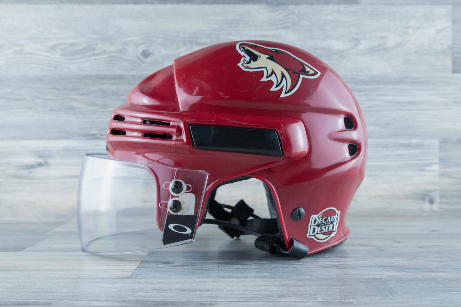 Dennis Seidenberg - game worn / game used helmet - Arizona Coyotes 2006 / 2007