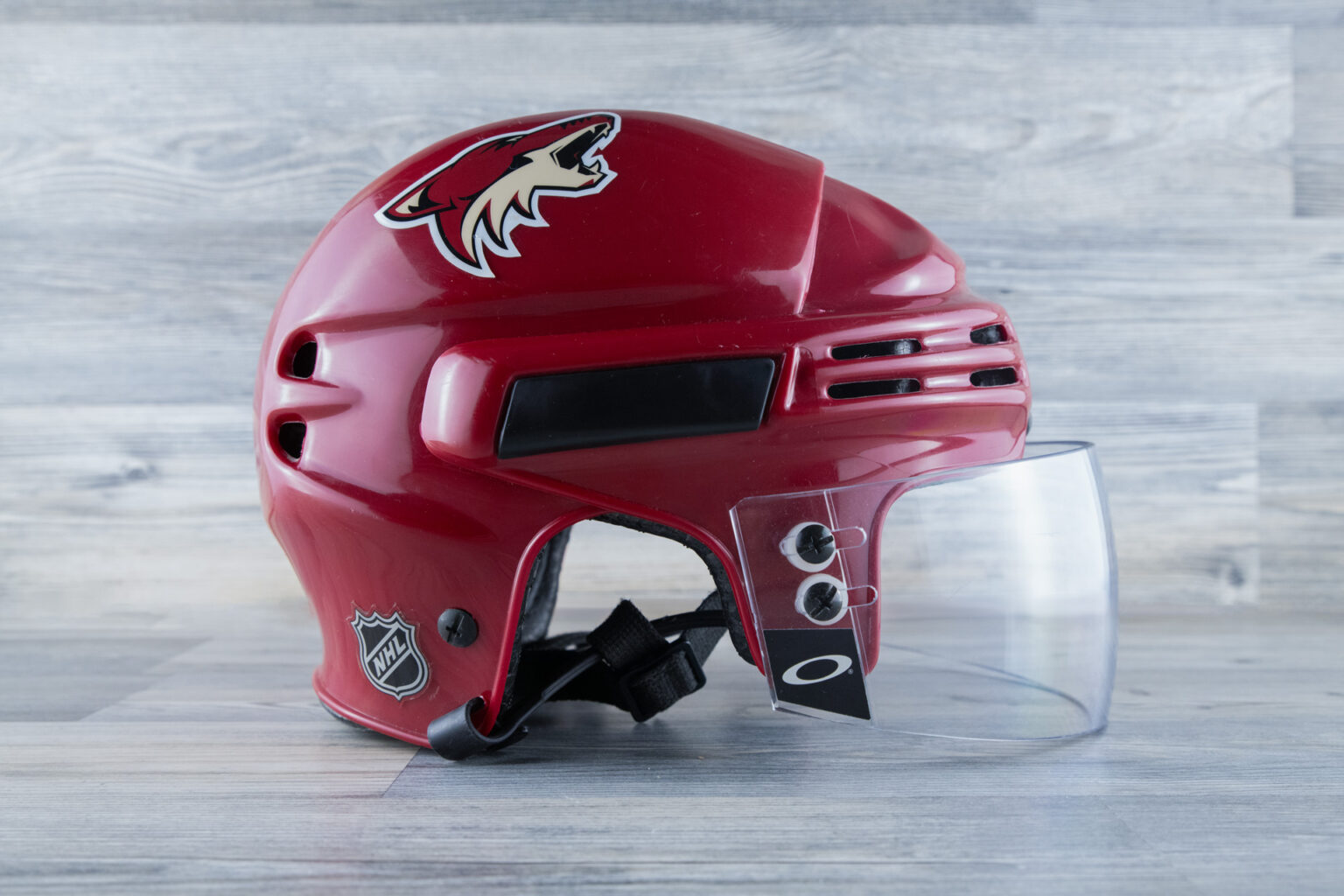 Dennis Seidenberg - game worn / game used helmet - Arizona Coyotes 2006 / 2007