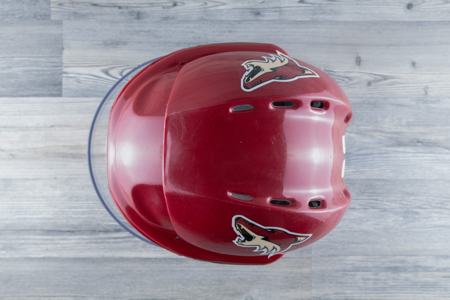Dennis Seidenberg - game worn / game used helmet - Arizona Coyotes 2006 / 2007