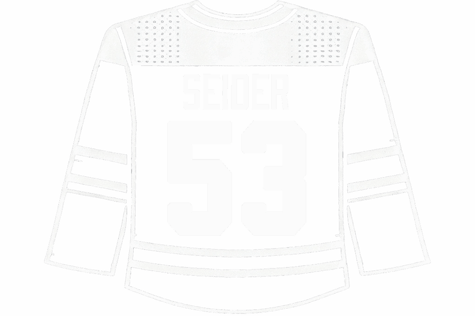 Moritz Seider Detroit Red Wings jersey wanted